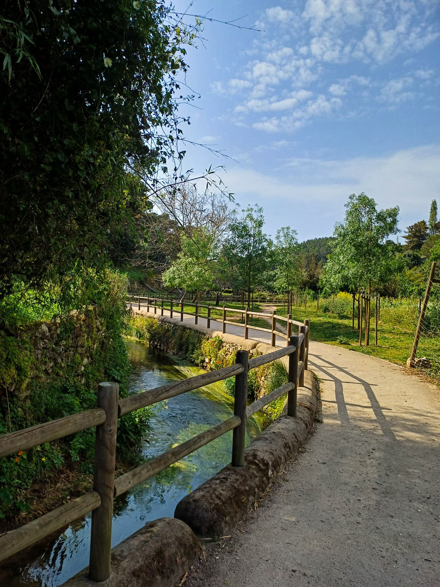 a lovely path