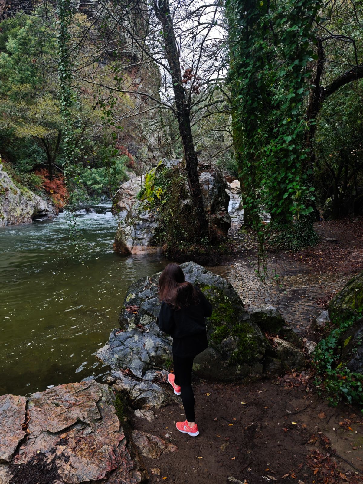 me in the forest