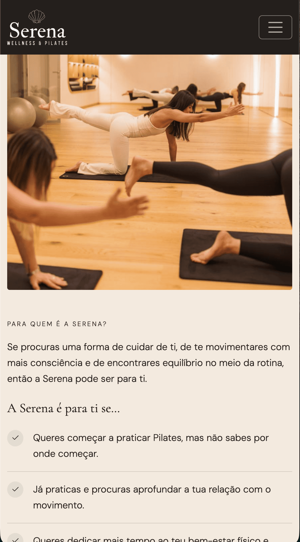 Secção da landing page em mobile